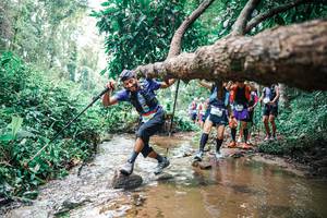 BIB: 
                            <button type="button" onclick="openModal(25373480)" class="btn btn-primary btn-sm float-right btn-popup" data-toggle="modal" data-target=".modal-high-quality">
                        <i class="fas fa-shopping-cart"></i> Add to Cart
                    </button>
                                            <button type="button" onclick="isThisMe(25373480, true)" class="btn btn-success btn-sm float-right btn-popup btn-isme hidden" data-toggle="tooltip" data-placement="bottom" title="นี่คือรูปของคุณใช่ไหม คลิกที่นี่เพื่อเอาเข้าอัลบั้ม">
                        <i class="fas fa-plus"></i> Add to album
                    </button>
                    <button type="button" onclick="isThisMe(25373480, false)" class="btn btn-warning btn-sm float-right btn-popup btn-isnotme hidden">
                        <i class="fas fa-ban"></i> Remove from album
                    </button>